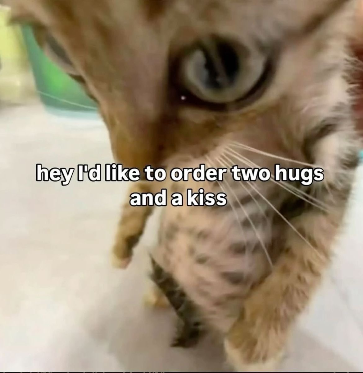 ♡ (@astralbaes) on Twitter photo 