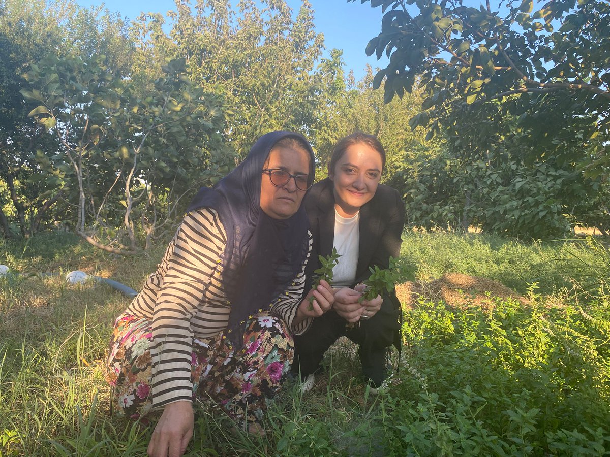 🌿 Köyde Bir Gün Projesi

Şehirde yaşayan çocuklarımız ile köyde yaşayan çocuklarımızı bir araya getirerek, birlik ve kardeşlik duygularını pekiştirmeyi amaçladık.
Çocuklarımız köy hayatını tanıma, doğayla buluşma ve geleneksel değerlerimizi yerinde görme imkânı buldular.