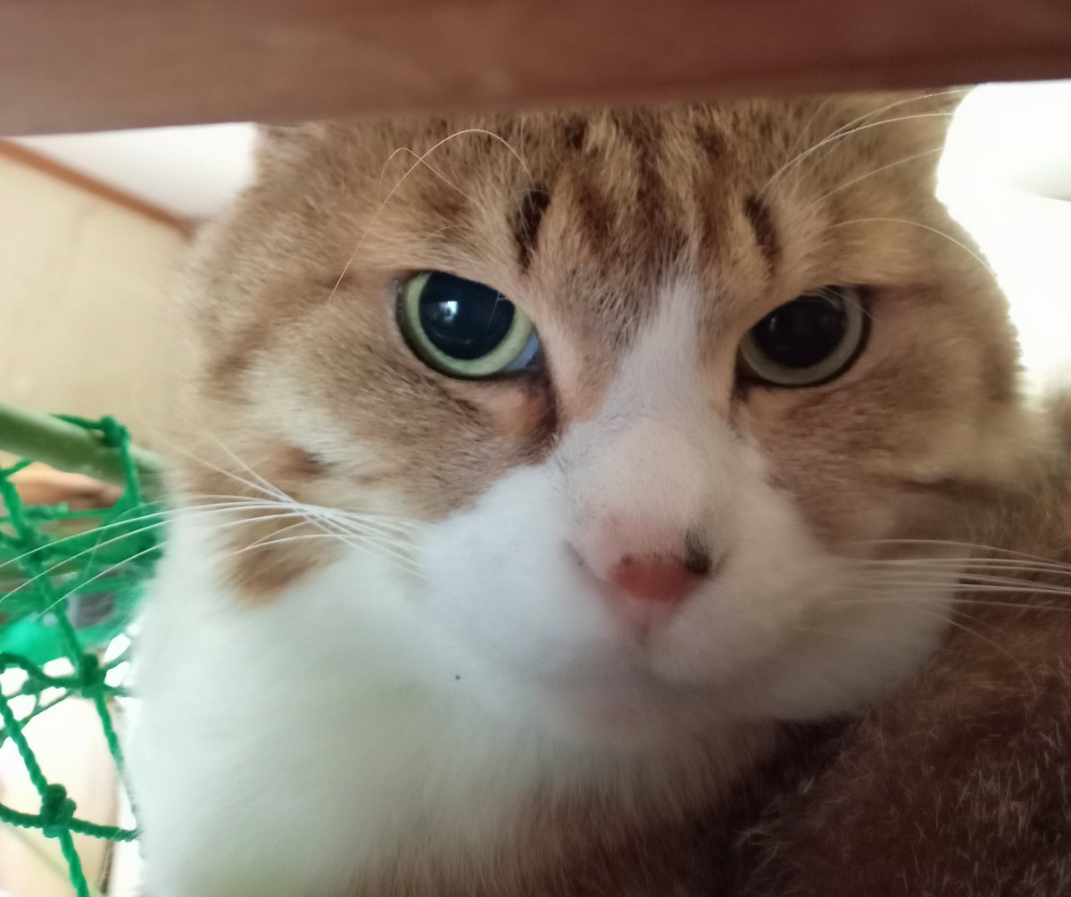 2025年8月21日  木曜日  献血の日

おはようございます！

献血🩸💉みなさんはやった事ありますか？
俺は…高校生の時に学校で献血バスが来た時に初めて献血をした！
その時は200㎖でした！

献血には、全血献血では200㎖ 400㎖があります！
成分献血では血小板  血漿を特定の成分を採血します！