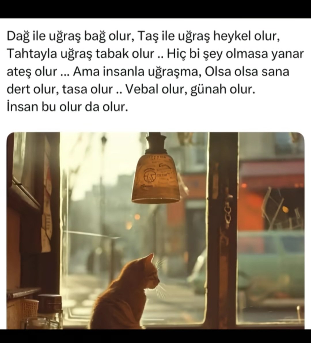 Mehmet1984_'s tweet photo. ... https://t.co/LNCABns5ky