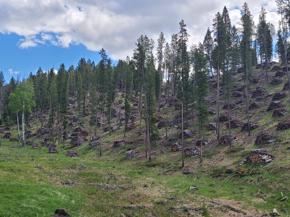 Today, we’re announcing new landscape-scale investments to restore forests on tribal, state, local, &amp; privately managed lands. These projects will help conserve working forests that provide jobs, timber, clean water &amp; recreation. 📷 USFS fs.usda.gov/managing-land/…