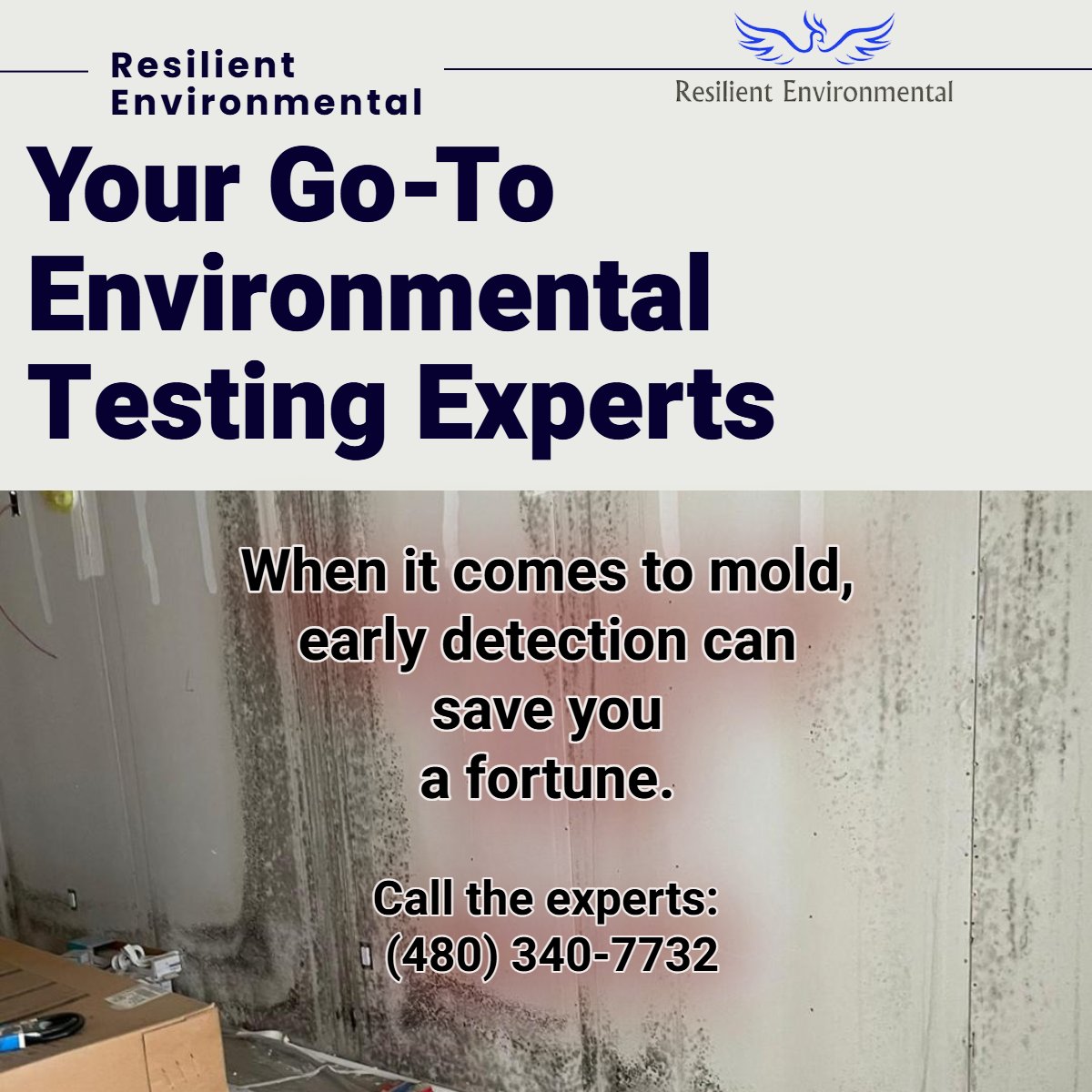 FillMershon's tweet image. resilientenvironmental.com
Mold testing offers several advantages, including early detection of mold problems, identification of harmful mold species, assessment of indoor air quality, and guidance for effective remediation. 
#resilientenvironmental #EnvironmentalTesting