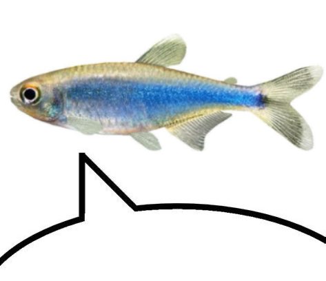 gob ᡣ𐭩 (@miiminx) on Twitter photo 