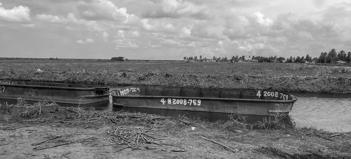 In #Guyana's sugar cane fields, barges (known as punts) were crucial for transporting harvested cane from the fields to the factories. These flat-bottomed boats were designed for navigating the intricate network of canals that crisscross the sugar estates <a href="/Guyana/">Guyana</a> <a href="/nyttravel/">NYT Travel</a>