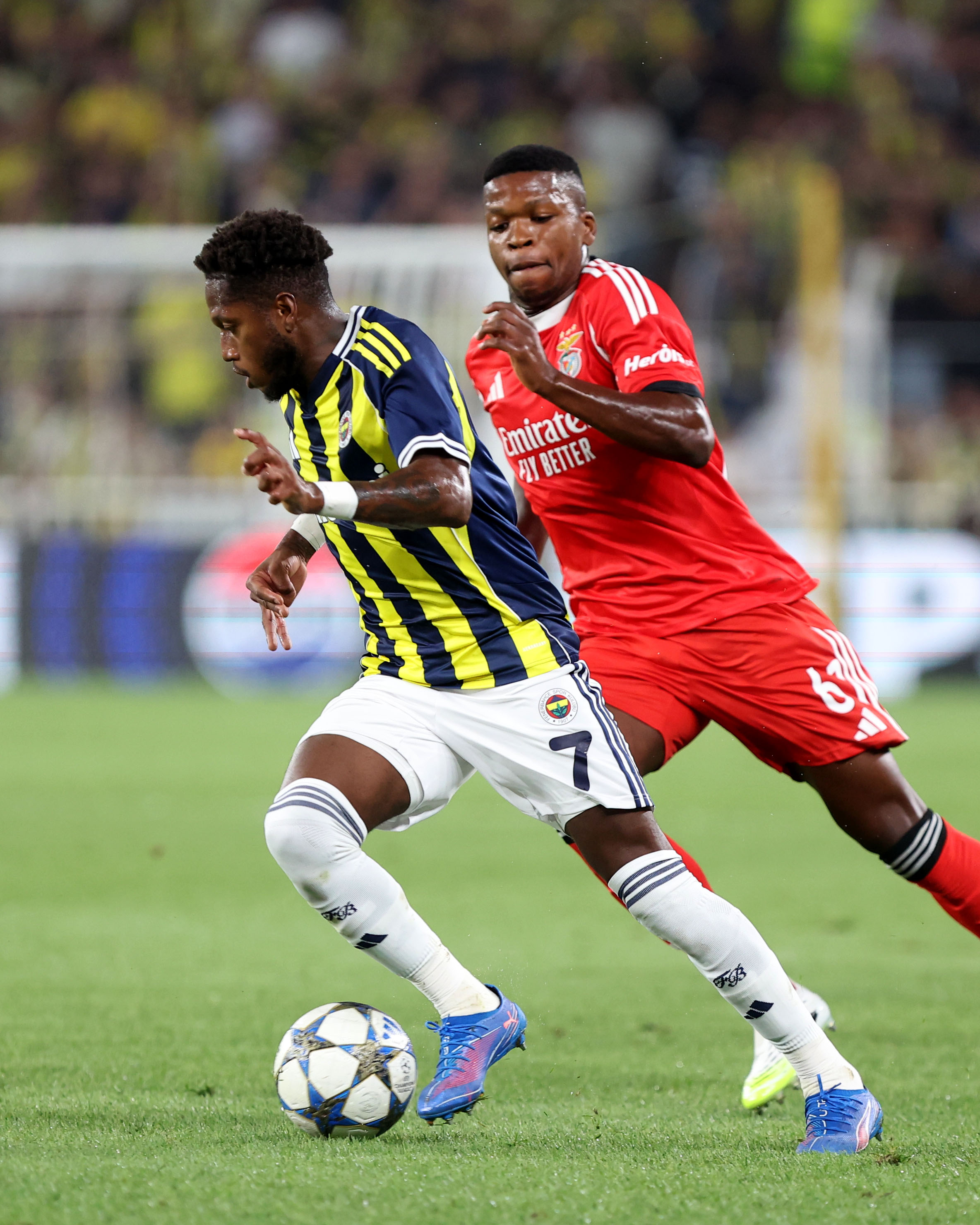 fred benfica