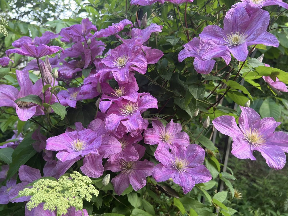 Michael Lee Rilee (@lee_rilee5mike) on Twitter photo 