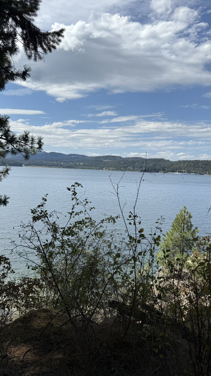 📍Tubb’s Hill Coeur d’Alene, Idaho

Year Around one of our favorite spots!