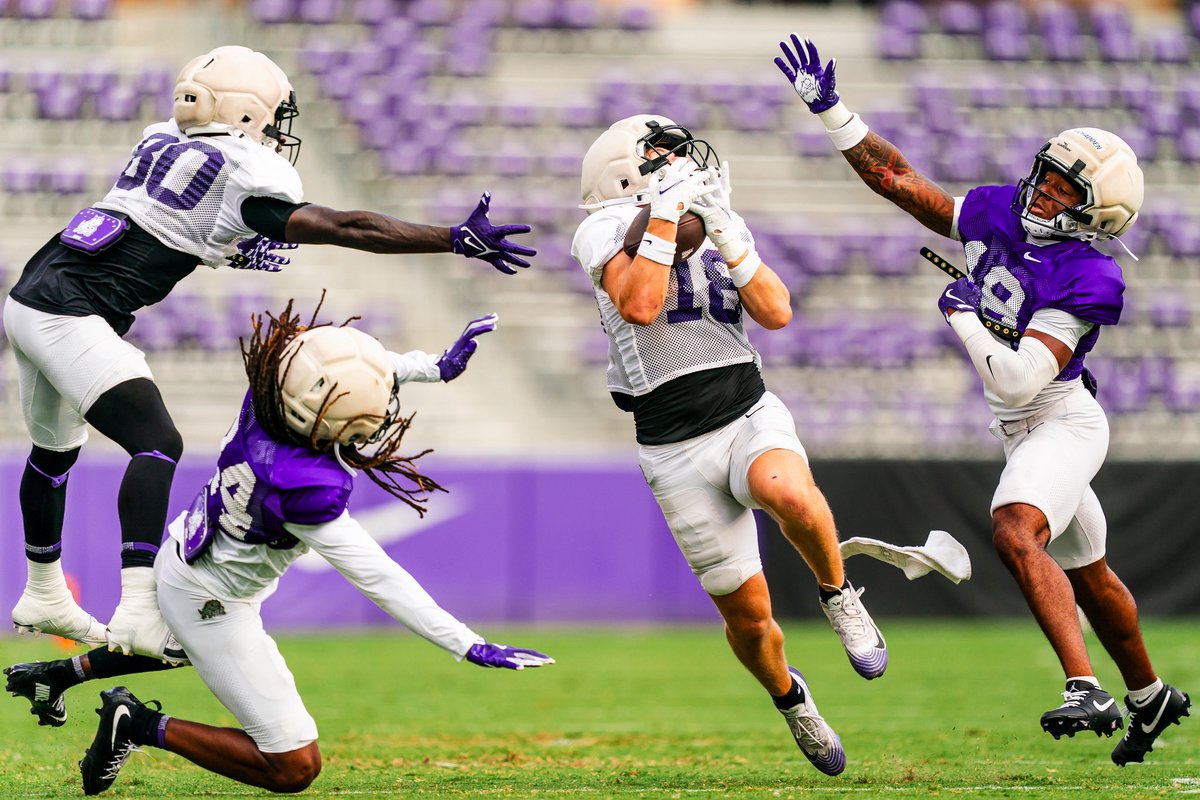 calm through chaos‼️