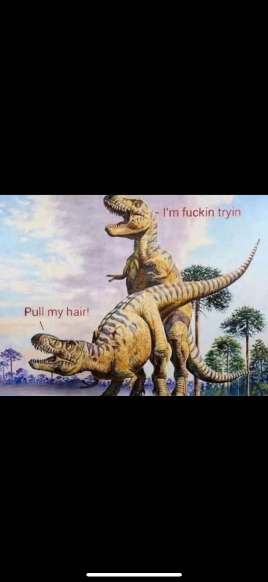 CapeCodder (@steeltoast63) on Twitter photo 