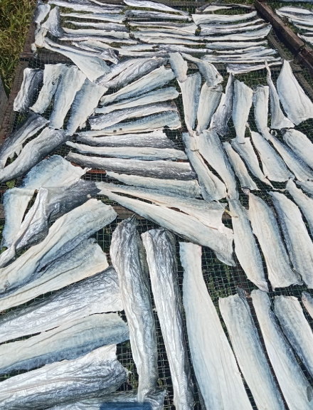 VSF202's tweet image. 🌊 Vietnam Fish Skin Export 🐟 – Dried &amp;amp; Frozen, rich in protein, collagen &amp;amp; omega. Perfect for snacks, food &amp;amp; pet treats.

📩 Mr. Francis – export4@vietseafarm.com.vn
 | (+84) 387 363 125 | vietseafarm.com.vn

#FishSkin #SeafoodExport #Vietnam