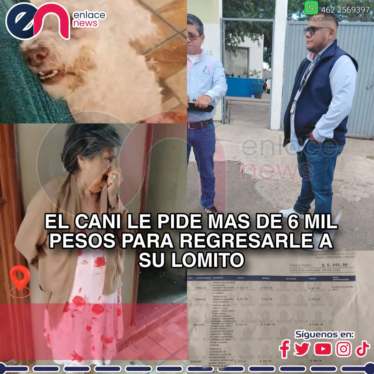 Peludos Desamparados (@plu2desampara2) on Twitter photo .<a href="/LorenaAlfaroG/">Lorena Alfaro García</a> <a href="/irapuatogob/">Gobierno de Irapuato</a> “𝘼𝙗𝙪𝙚𝙡𝙞𝙩𝙖 𝙙𝙚 𝟴𝟮 𝙖𝙣̃𝙤𝙨 𝙥𝙞𝙚𝙧𝙙𝙚 𝙖 𝙨𝙪 𝙡𝙤𝙢𝙞𝙩𝙤 𝙚𝙣 𝘼𝙡𝙙𝙖𝙢𝙖; 𝙥𝙞𝙙𝙚𝙣 𝙢𝙖́𝙨 𝙙𝙚 𝟲 𝙢𝙞𝙡 𝙥𝙚𝙨𝙤𝙨 𝙥𝙖𝙧𝙖 𝙙𝙚𝙫𝙤𝙡𝙫𝙚́𝙧𝙨𝙚𝙡𝙤”
#Irapuato #Guanajuato
Una historia que indigna a la comunidad de Aldama .<a href="/LorenaAlfaroG/">Lorena Alfaro García</a> <a href="/irapuatogob/">Gobierno de Irapuato</a> “𝘼𝙗𝙪𝙚𝙡𝙞𝙩𝙖 𝙙𝙚 𝟴𝟮 𝙖𝙣̃𝙤𝙨 𝙥𝙞𝙚𝙧𝙙𝙚 𝙖 𝙨𝙪 𝙡𝙤𝙢𝙞𝙩𝙤 𝙚𝙣 𝘼𝙡𝙙𝙖𝙢𝙖; 𝙥𝙞𝙙𝙚𝙣 𝙢𝙖́𝙨 𝙙𝙚 𝟲 𝙢𝙞𝙡 𝙥𝙚𝙨𝙤𝙨 𝙥𝙖𝙧𝙖 𝙙𝙚𝙫𝙤𝙡𝙫𝙚́𝙧𝙨𝙚𝙡𝙤”
#Irapuato #Guanajuato
Una historia que indigna a la comunidad de Aldama