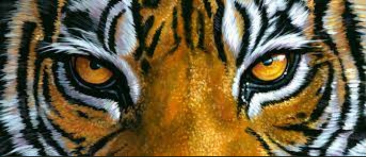 A shutout W &amp; a commitment?! LFG!!!! #MIZ #RightHereRightNow