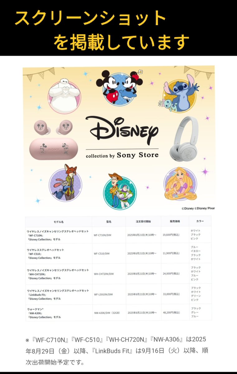 【TDRファン必見/非売品】PASS on the DREAM TDRファン必見/非売品】PASS on the DREAM
