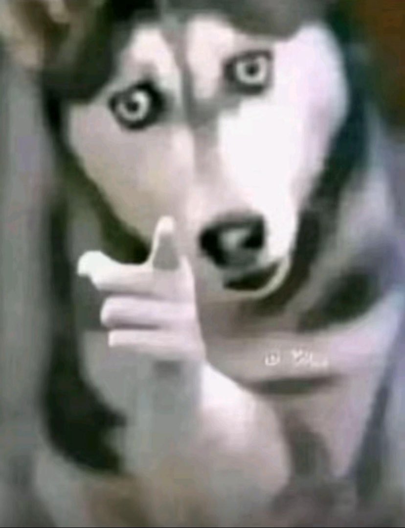 sam 𓂆 tweet media