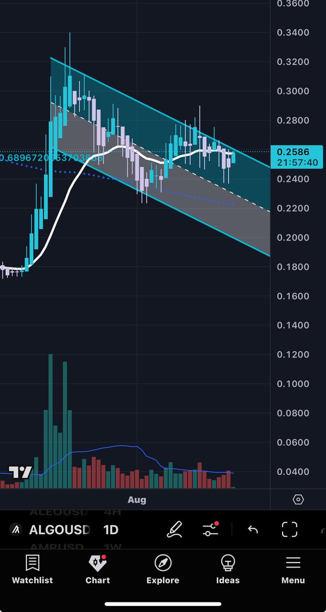 $ALGO up 7% on the day.
Could be getting ready to break out of this trend soon and head up to $.30 short term