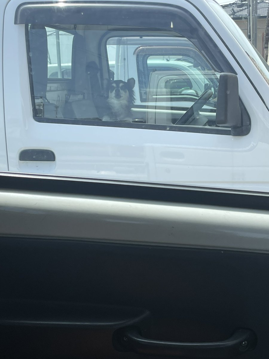 なんなん…急に隣につけてきて
めちゃくちゃ吠えてくるんやけど
#煽り運転