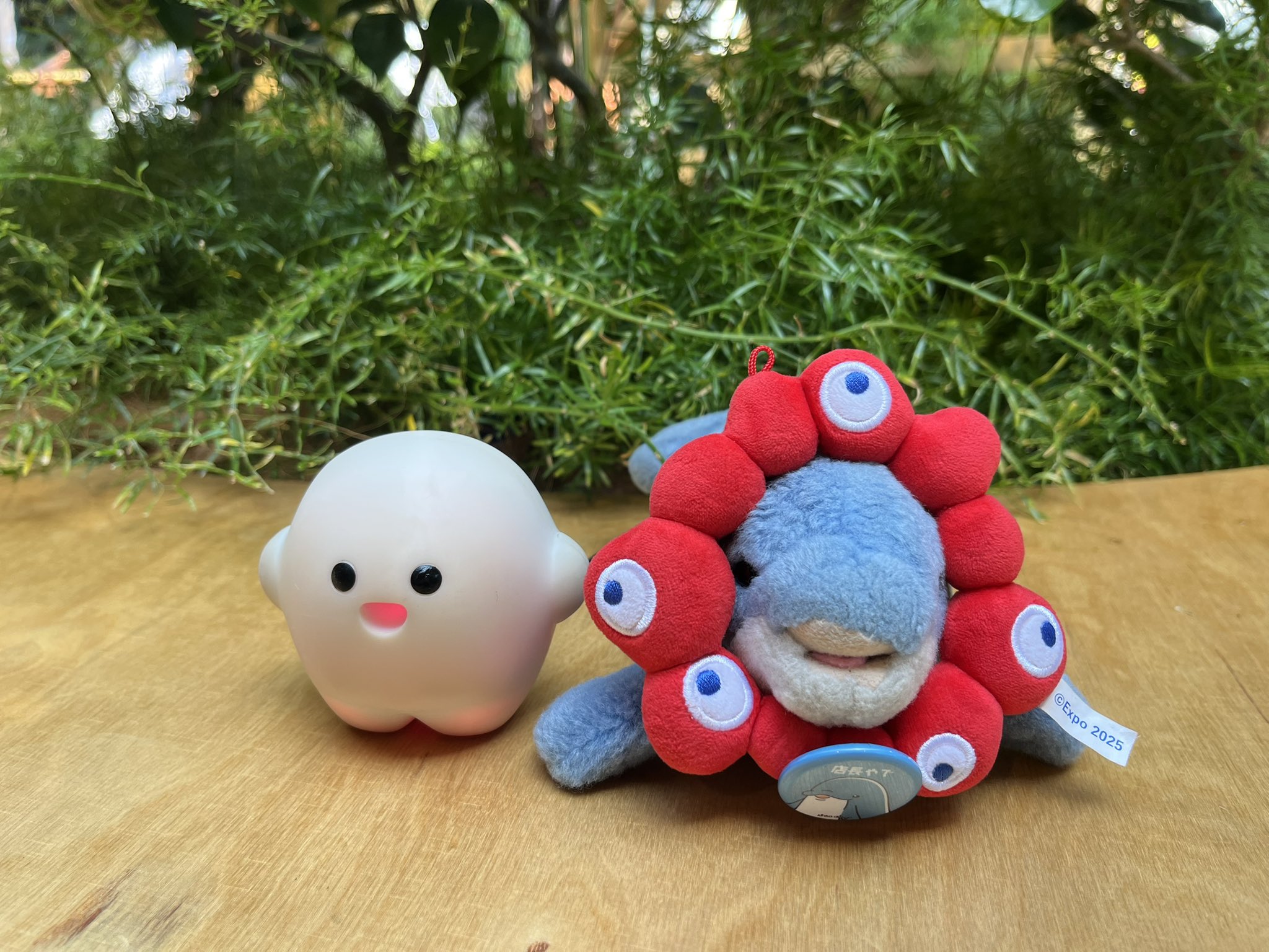 イルカちゃん専用 アイ🐬イルカちゃん→デザイナー＆海洋生物専門イラストレーター