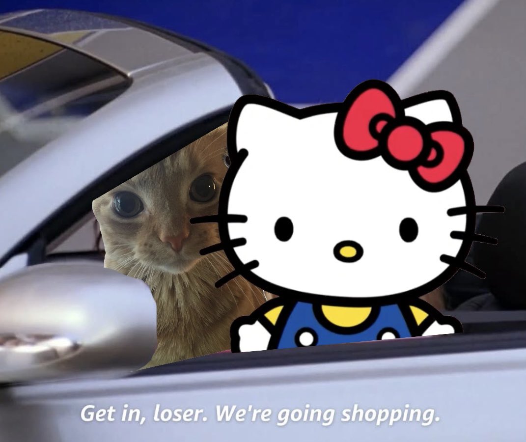 My cat coins are still so inexpensive :D