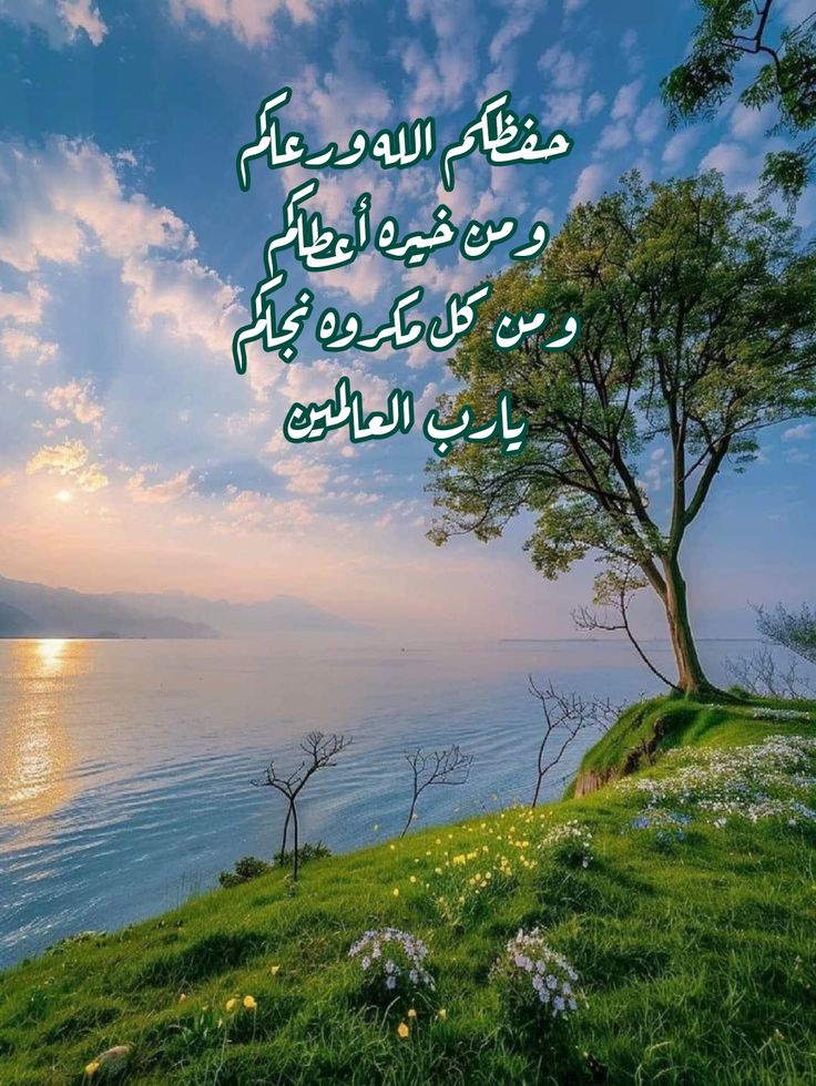 M.tayyab Shah tweet media