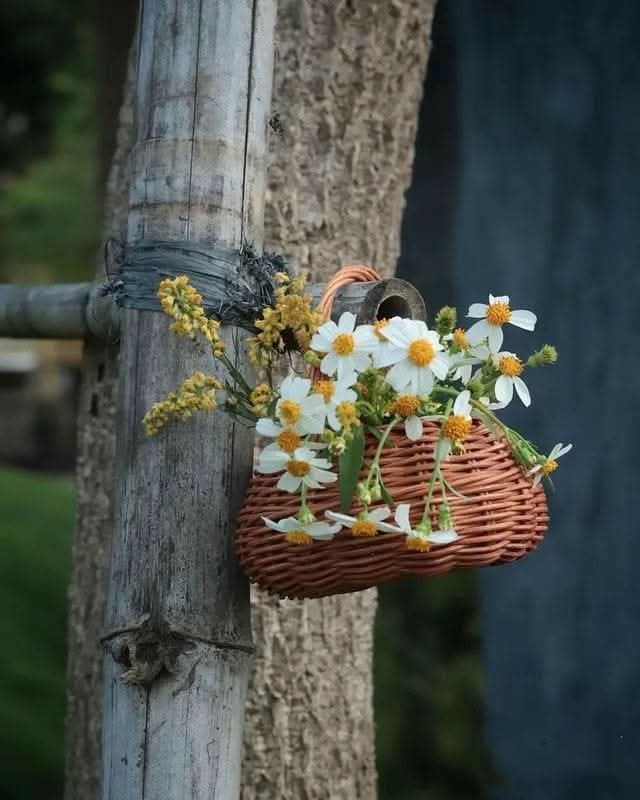 ✨Lub@wka✨ (@bel_lub) on Twitter photo 