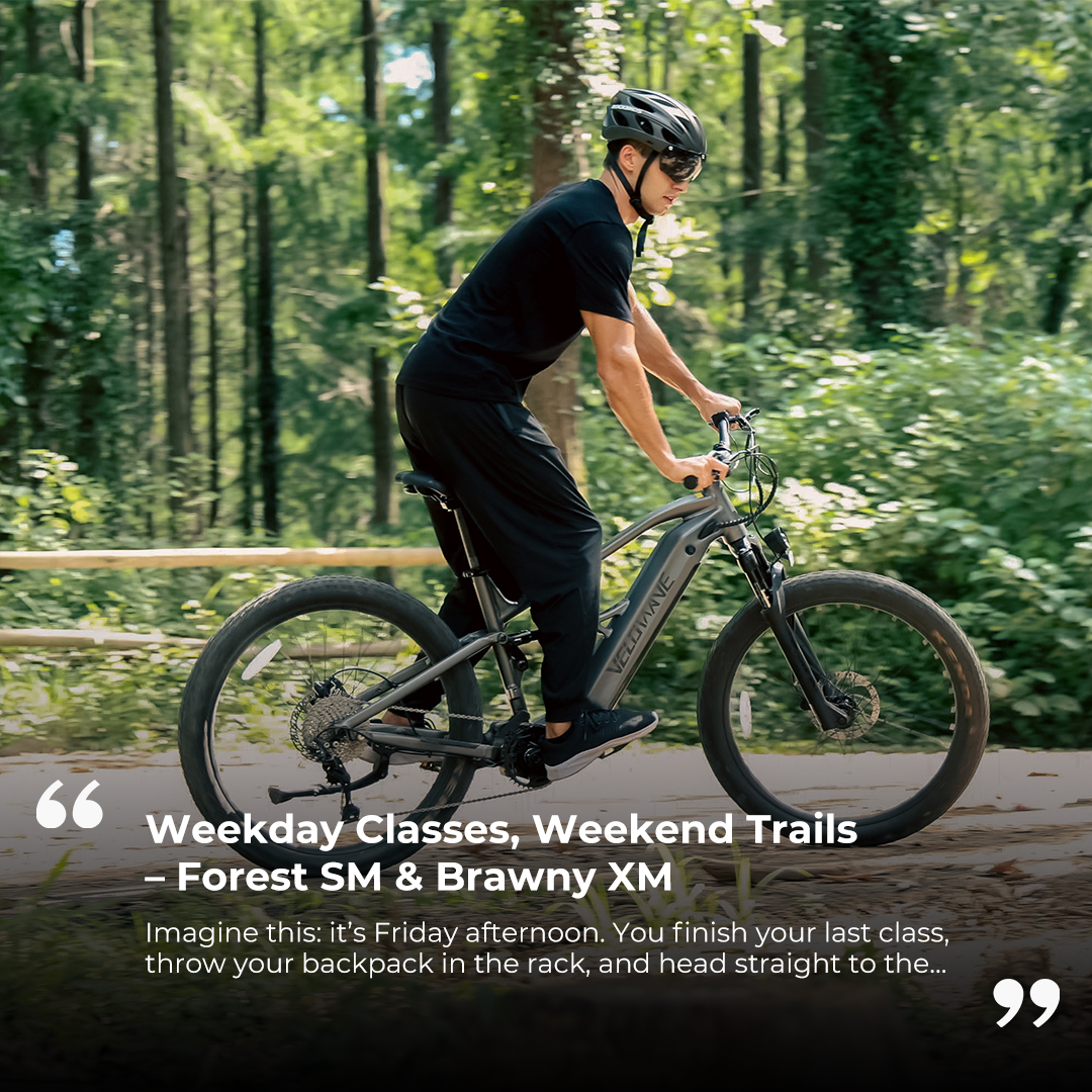 Velowave Electric Bikes tweet media