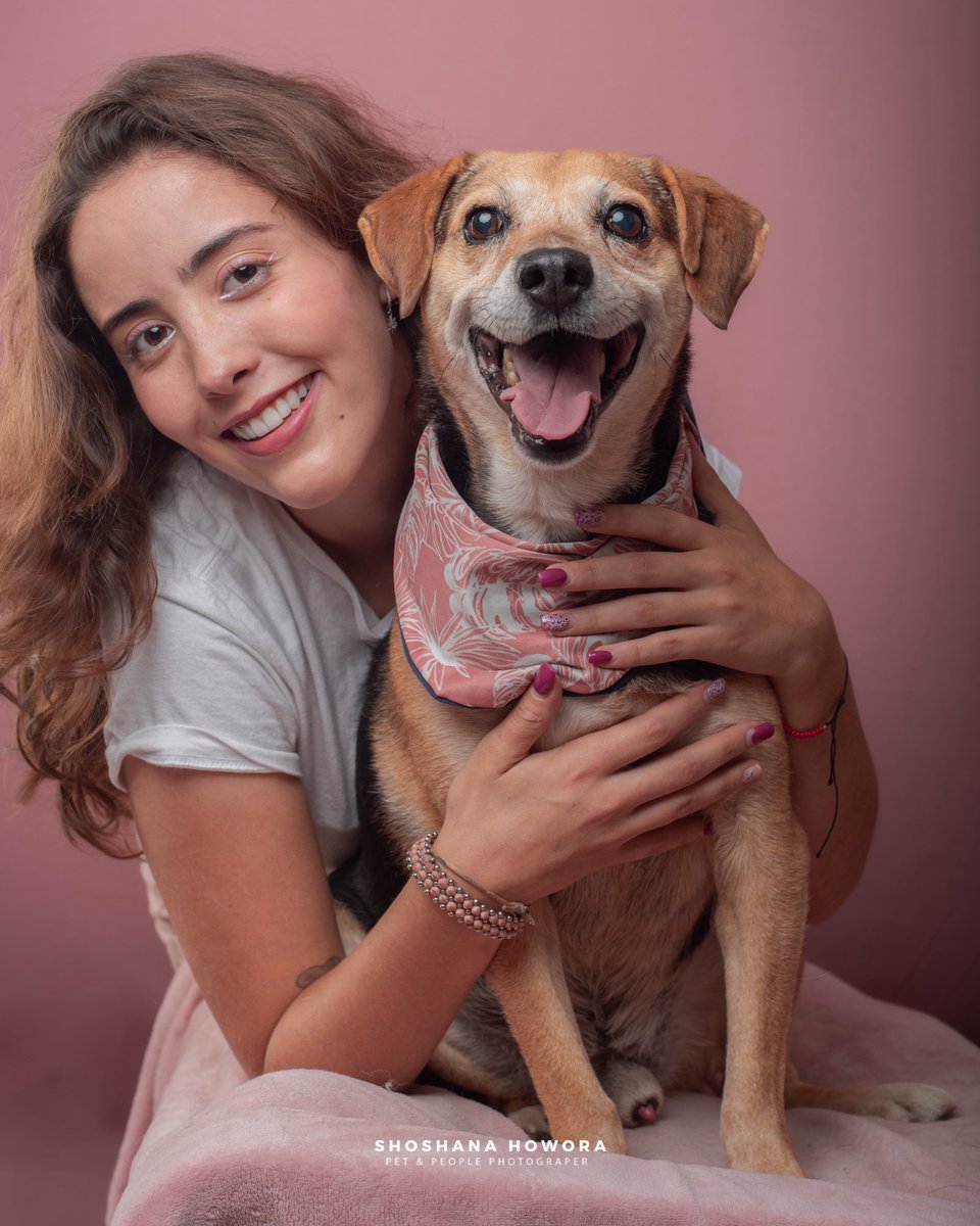 Pueden creer que Sammy no ha recibido ni 1 solicitud de adopción?! Es que véanloooo🥹cómo no enamorarse de él? Y es talla chica, es como del tamaño de un beagle y en la 2da foto pueden confirmar que es talla chica, ya está gordito jajaja pero llegó en los huesos💔

👉🏼Si no lo