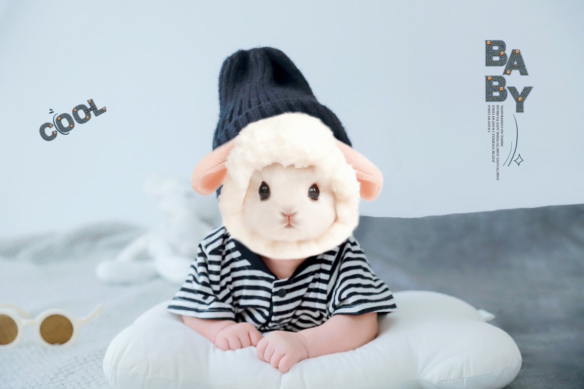 OL06664513's tweet photo. 先日、百日記念の訪問撮影サービス利用してみました👶🏻📸テ��パキやってくれるし、衛生面も気を遣っていて🙆🏻‍♀️家族写真までついて600元だったので大満足💞（アップセルはちょっとうざかったがww）あやす係りのお姉さん上手すぎて、母親の座奪われるところだった、あぶない🥹 https://t.co/eHb23BmCiu