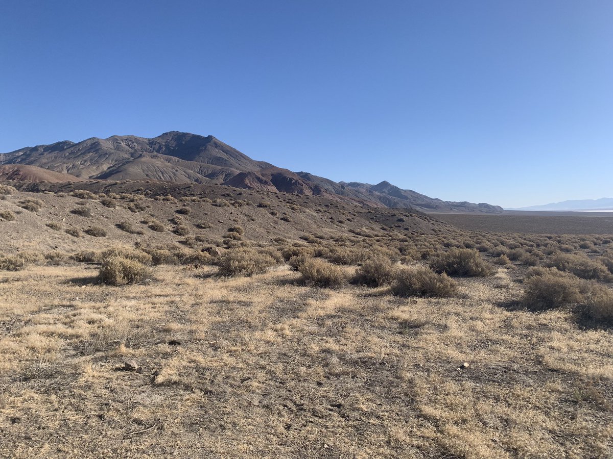 Rich Koehler tweet media