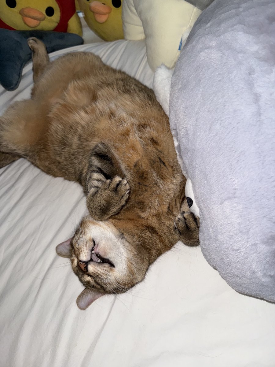 chuuper yuppers tweet media