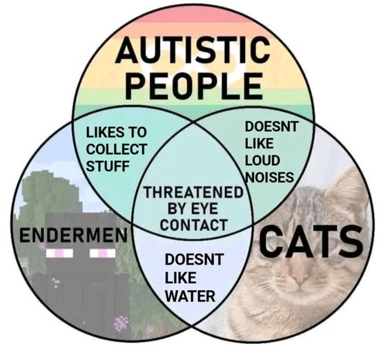 No Nonsense Neurodivergent (@nononsensend) on Twitter photo 