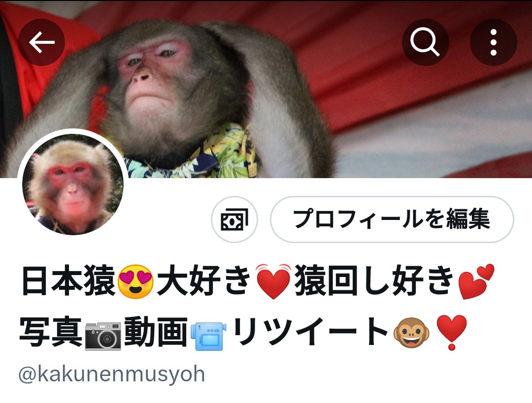 Tweet media one