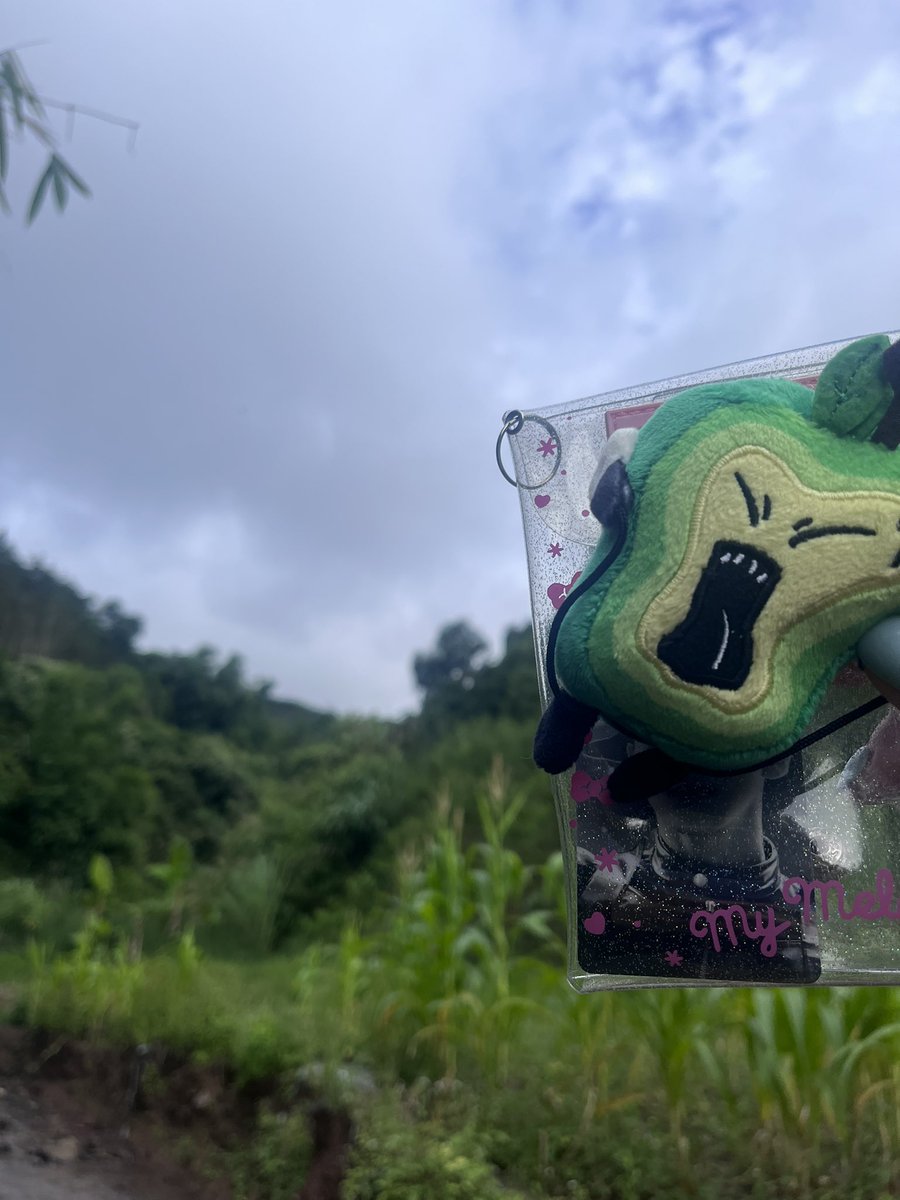 带幺儿来走雨林了