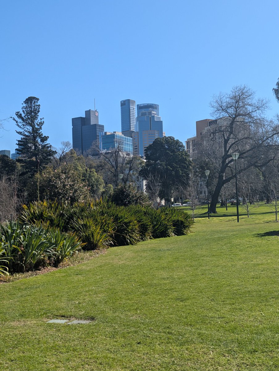 CooperTW14's tweet image. This early Spring weather feels illegal #springofdeception