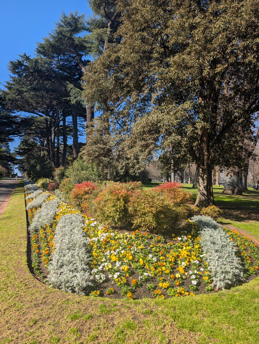 CooperTW14's tweet image. This early Spring weather feels illegal #springofdeception