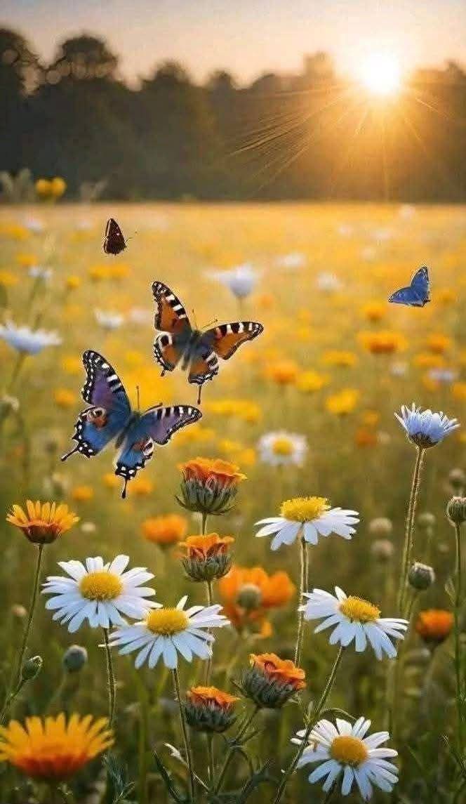 funkyfresh tweet media