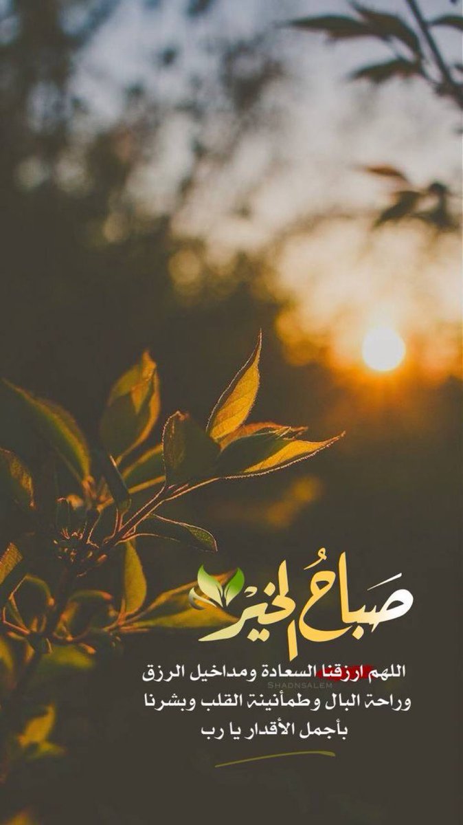 اللهم صباحاً 
فيه سكينة النفس 
وطمأنينة القلب وراحة
البال وجميل البشائر 
وتمام العافية.  !!!!!🌷

 #صباح_الخير