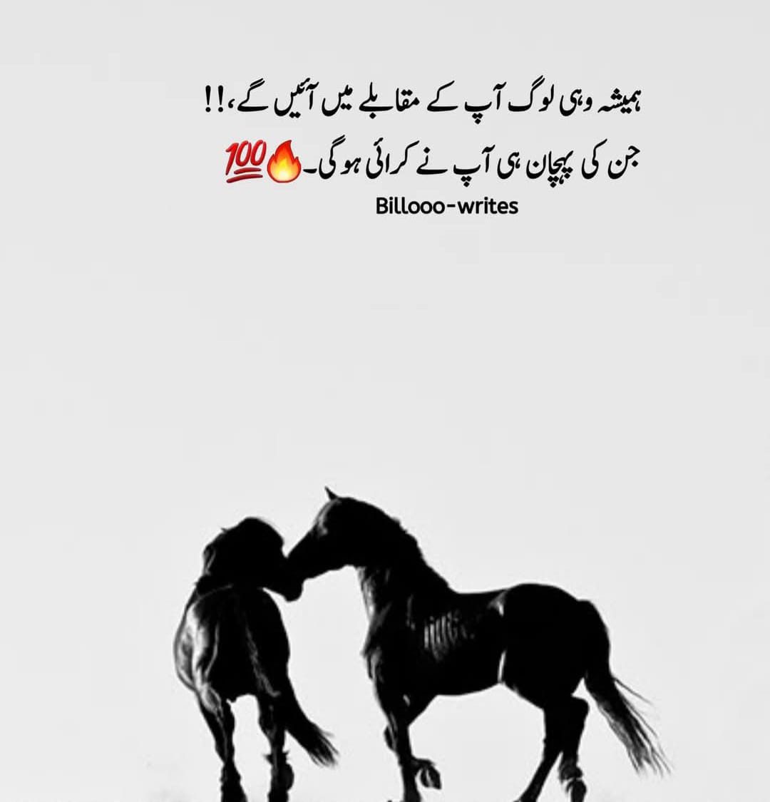 Ahmad Ali Baltistani (@aalibaltistani) on Twitter photo 