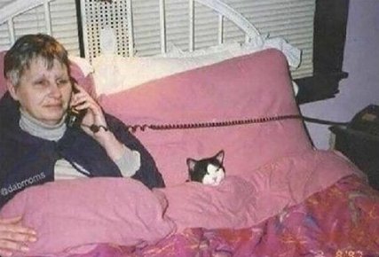 Todo el día laburando y esperando para llegar a casa y acostarme a mimir con mi gata. Soy está 👇