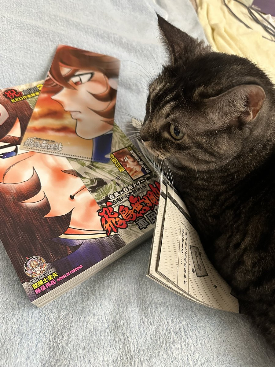 「タイミング悪くて受け取れなかったチャンピオンRED最新号がやってきました! もう」|田畑由秋 Tabata Yoshiaki 타바타 요시아키のイラスト