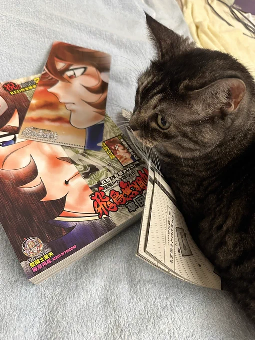 タイミング悪くて受け取れなかったチャンピオンRED最新号がやってきました! もう発売中なのでみんな読もう!