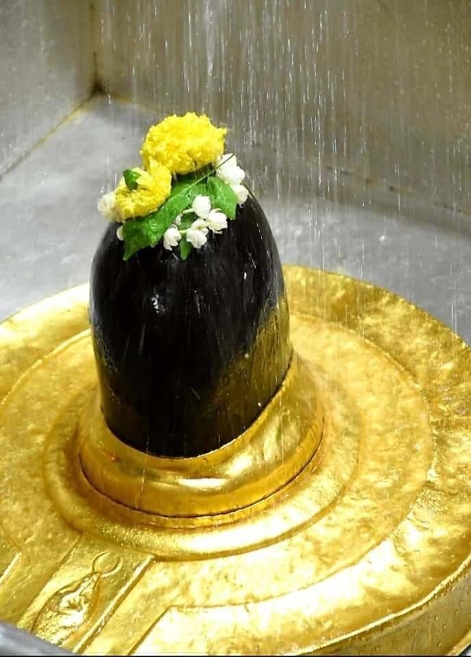 Mona ♡ tweet media