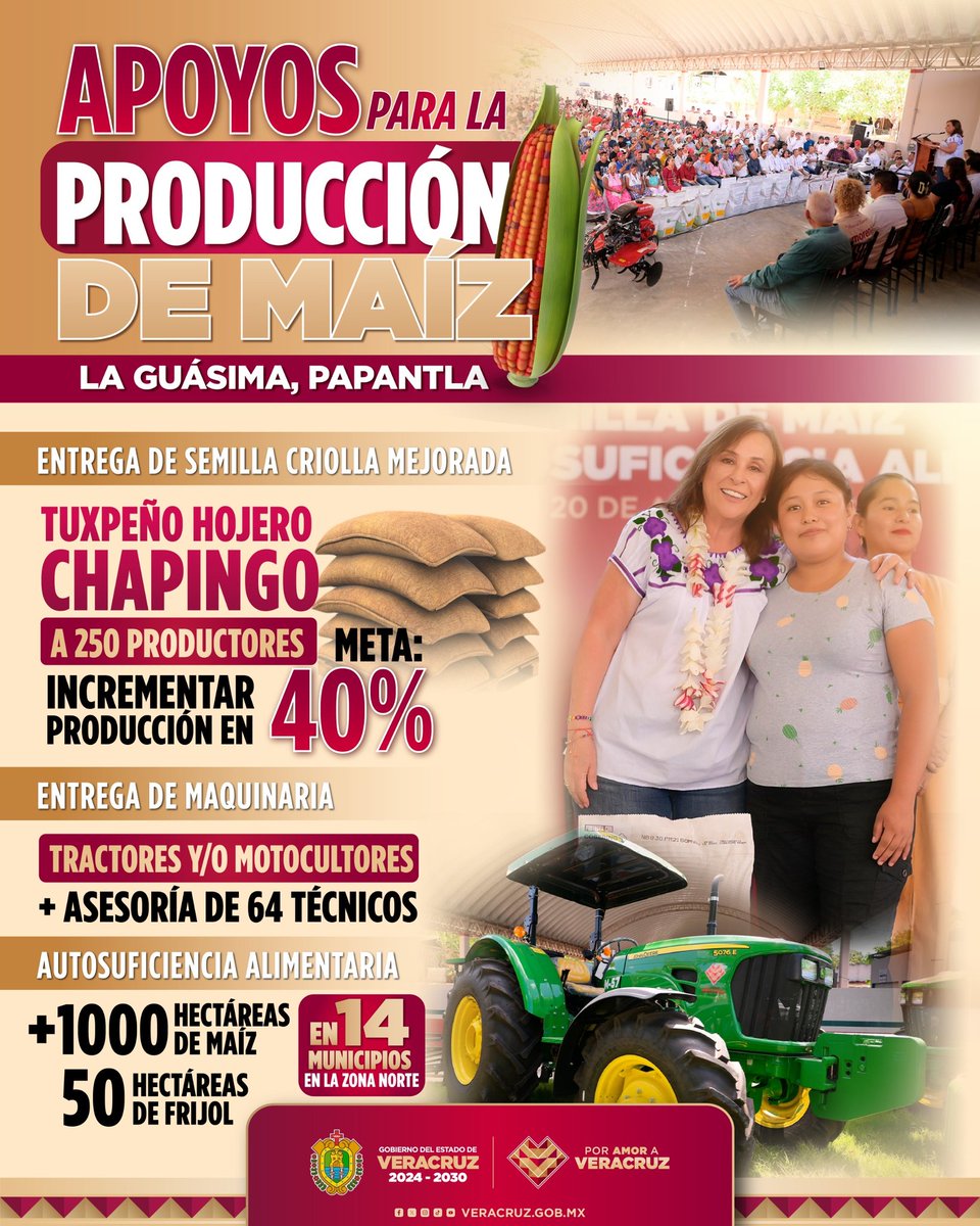 🌽 En La Guásima, Papantla, acompañamos a nuestros productores con semilla mejorada, maquinaria y asesoría técnica.

Así fomentamos la autosuficiencia alimentaria y fortalecemos la producción de maíz y frijol en nuestra región. 🌱

#PorAmorAVeracruz ❤️
