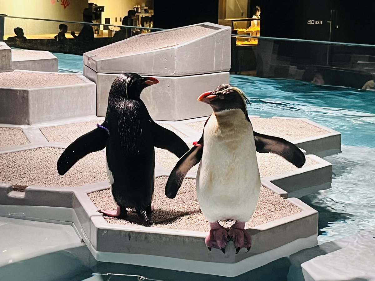 ドキンちゃん@億女目指して資産形成中〜 (@dokinANA1) / Posts / X