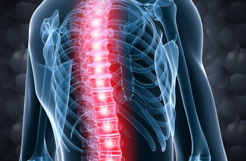 Segalian's tweet image. 🌟 Medical History in the Making in ISRAEL 🇮🇱 

Israel is set to perform the world’s 1st human spinal cord transplant 🧬 at Tel Aviv University.

A new era of regenerative medicine—hope for paralysis patients worldwide. 🌍✨

#Innovation #Israel #MedicalBreakthrough