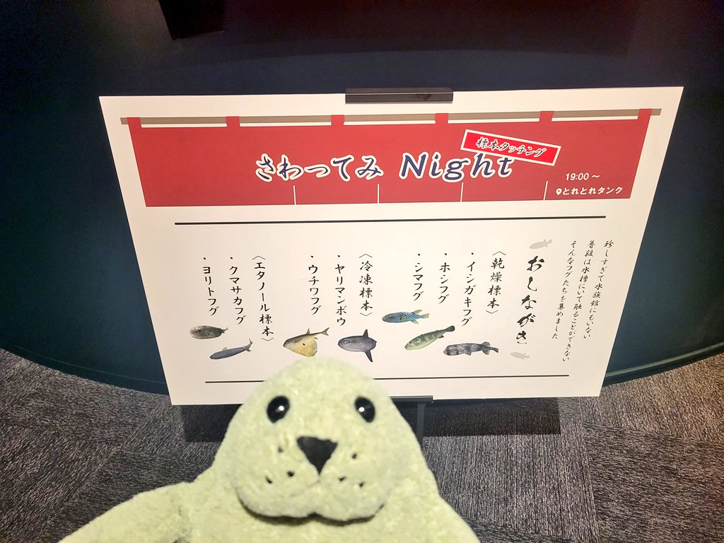 candy__closet's tweet photo. 夜の水族館楽しかったなぁ(っ ॑꒳ ॑c) https://t.co/J7WzZgUEZo