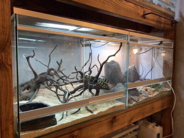 COTUP社製 オーダーガラス爬虫類ケージ60x45x45 インテリアに馴染む♪