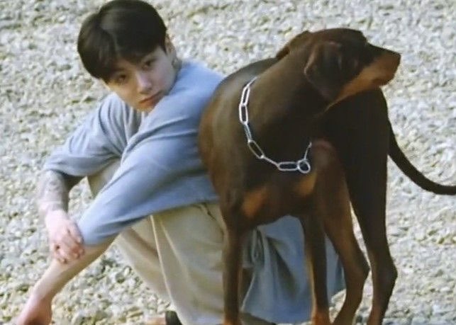 koorinav's tweet photo. #kookvau ᯓ★ Walky Time

Taehyung siempre ha querido adoptar un perro, lamentablemente su novia no está de acuerdo, por lo que su vecino Jungkook lo invita todos los días a su walky time para que pase tiempo con su cachorro Bam. https://t.co/RIKZjfuu8B