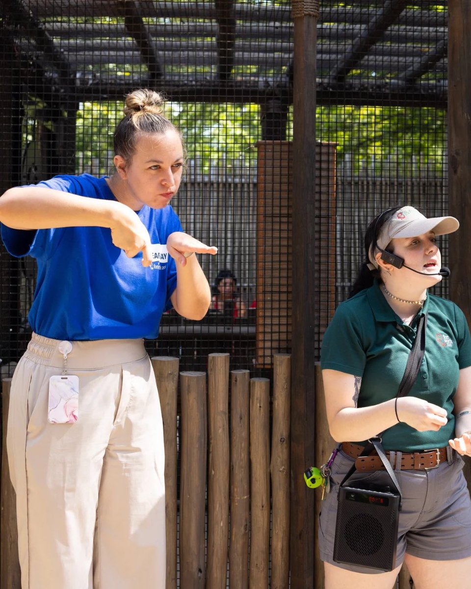 FortWorthZoo's tweet photo. We are one month away from our third annual Deaf Day, in partnership with the Sign Language Interpreting Program at @TCCollege! 🎉

On Saturday, Sept. 20, we invite members of the Deaf and Hard-of-Hearing communities, and their friends and families, to enjoy a day at the Zoo! On this day, American Sign Language (ASL) interpreters, provided by TCC, will be stationed throughout the Zoo at places like zookeeper chats, giraffe feeding and select restaurant and merchandise locations. Our goal is to provide seamless communication access to all our guests!

Deaf Day has become an important tradition for members of the community, and we are thrilled to bring it back for a third straight year! 💙

For more info on Deaf Day visit: https://t.co/HtU7khYyuT.