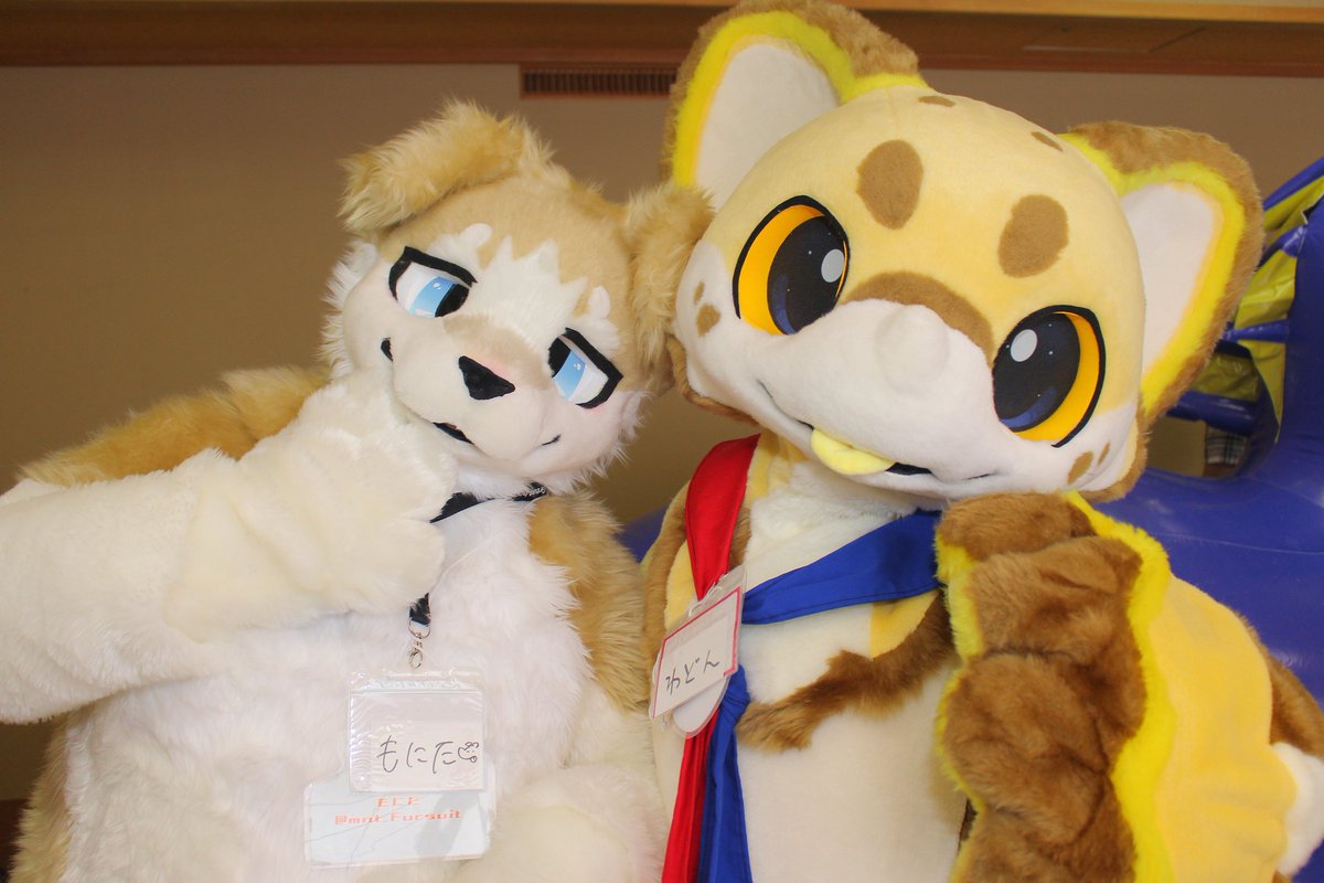 ﾓﾁﾓﾁcuteラスクくんと❤️🤍💙

#ミニもふ20
📷️#55KumaEmon