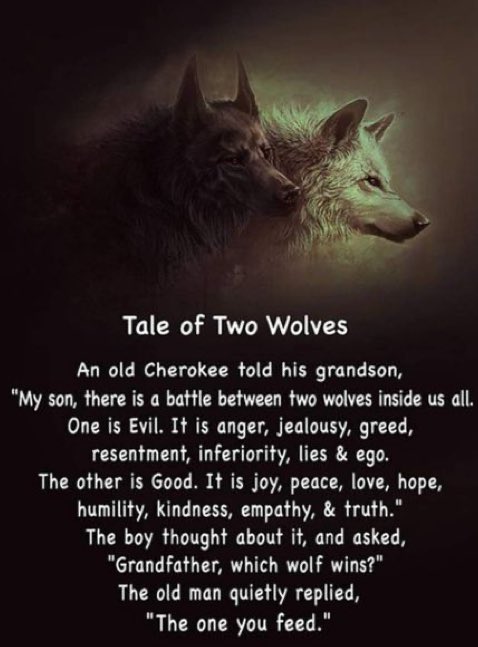Mooseconscious's tweet photo. An old Cherokee legend: Inside us all, two wolves battleโone evil (anger, envy, greed), one good (joy, peace, love). The grandson asks, "Which wins?" The elder replies, "The one you feed." Choose wisely today. ๐บโจ #TaleOfTwoWolves https://t.co/7ghyoNtAPX